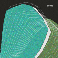 Thumbnail for the Torus - T'orus link, provided by host site