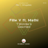 Thumbnail for the Fille V - 'T Wonder Is Geschied link, provided by host site