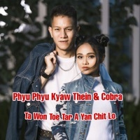 Thumbnail for the Phyu Phyu Kyaw Thein - Ta Won Toe Tar a Yan Chit Lo link, provided by host site