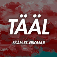 Thumbnail for the S.K.A.M - Tääl link, provided by host site