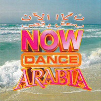 Thumbnail for the Ragheb Alama - Tab Leh link, provided by host site