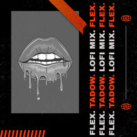 Thumbnail for the Flex - Tadow lofi mix link, provided by host site