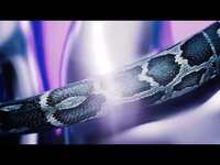 Thumbnail for the Pls&Ty - Take A Chance (Maesic Remix) link, provided by host site