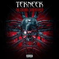 Thumbnail for the Tekneek - Take Control link, provided by host site