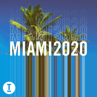 Thumbnail for the Miane - Take Control - Extended Mix link, provided by host site
