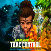 Thumbnail for the Iya Terra - Take Control (Remix) link, provided by host site