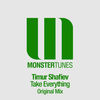 Thumbnail for the Timur Shafiev - Take Everything link, provided by host site