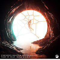 Thumbnail for the Unknown Brain - Take It link, provided by host site
