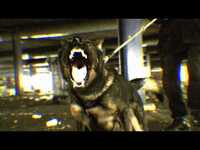 Thumbnail for the The Qemists - 'Take It Back' link, provided by host site