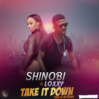 Thumbnail for the Shinobi - Take It Down link, provided by host site