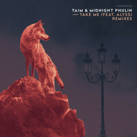 Thumbnail for the Taim - Take Me [Remixes] link, provided by host site