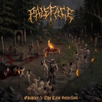 Thumbnail for the Paleface Swiss - Take Us link, provided by host site