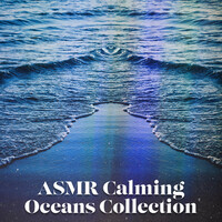Thumbnail for the Ocean Sounds Collection - Takeoff Takeoff link, provided by host site