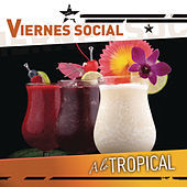 Thumbnail for the Joe Arroyo - Tal Para Cual link, provided by host site