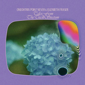 Thumbnail for the Oneohtrix Point Never - Tales From The Trash Stratum link, provided by host site