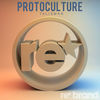 Thumbnail for the Protoculture - Talisman link, provided by host site