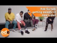 Thumbnail for the Rak-Su - Talk getting sweaty in I Want You To Freak video link, provided by host site