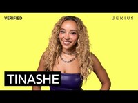 Thumbnail for the Tinashe - “Talk To Me Nice” Official Lyrics & Meaning | Verified link, provided by host site