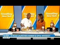 Thumbnail for the Ja Rule - Talks fatherhood, whiskey, and touring with Nelly link, provided by host site