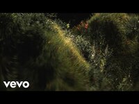 Thumbnail for the Ólafur Arnalds - Shared Time link, provided by host site