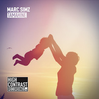 Thumbnail for the Marc Simz - Tamahine link, provided by host site