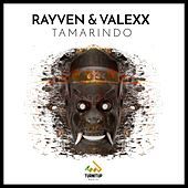 Thumbnail for the Rayven & Valexx - Tamarindo link, provided by host site