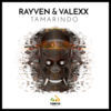 Thumbnail for the RayVen - Tamarindo link, provided by host site