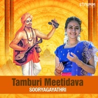 Thumbnail for the Sooryagayathri - Tamburi Meetidava link, provided by host site