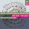 Thumbnail for the Dominic Seldis - Tan Dun: The Wolf link, provided by host site