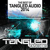 Thumbnail for the Luigi Palagano - Tangled Audio - Best Of 2014 link, provided by host site