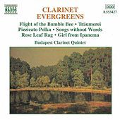 Thumbnail for the Budapest Clarinet Quintet - Tango link, provided by host site