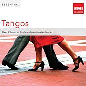 Thumbnail for the Artemis Quartet - Tango del Angel - Tempo di Tango link, provided by host site