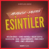 Thumbnail for the Müslüm Gürses - Tanrı İstemezse link, provided by host site