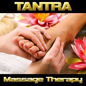 Thumbnail for the Fly Project - Tantra (Massage Therapy) link, provided by host site