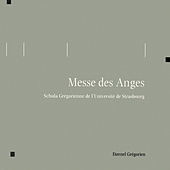Thumbnail for the Ecole Maîtrisienne Régionale des Pays de la Loire - Tantum ergo link, provided by host site