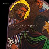 Thumbnail for the Capella Musica Seoul - Tantum ergo link, provided by host site