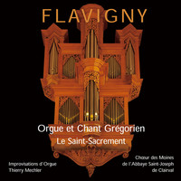 Thumbnail for the Thierry Mechler - Tantum ergo (Improvisation à l'orgue) link, provided by host site