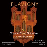 Thumbnail for the Thierry Mechler - Tantum ergo (Improvisation à l'orgue) link, provided by host site