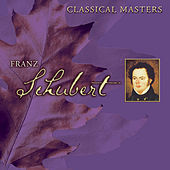 Thumbnail for the Berlin Radio Chorus - Tantum Ergo In E-Flat Major D. 962 link, provided by host site