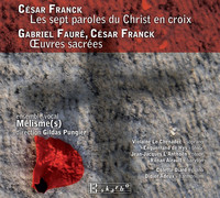 Thumbnail for the Gabriel Fauré - Tantum ergo, Op. 55 (arr. for voice, chorus, harmonium and piano) link, provided by host site
