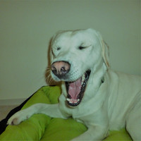 Thumbnail for the M&M - Tanz Marie link, provided by host site