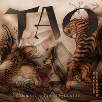 Thumbnail for the DSmall - Tao link, provided by host site