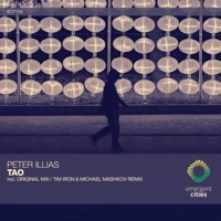 Thumbnail for the Peter Illias - Tao link, provided by host site
