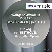 Thumbnail for the Peter Frankl - Tarantelle in A-Flat Major, Op. 43 link, provided by host site