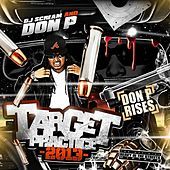 Thumbnail for the Don P - Target Practice 2013 link, provided by host site