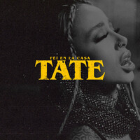 Thumbnail for the Fei - TATE link, provided by host site