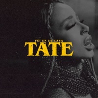 Thumbnail for the Fei - TATE link, provided by host site