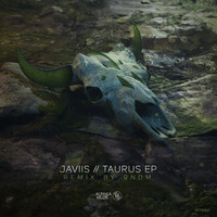 Thumbnail for the JAVIIS - Taurus link, provided by host site