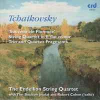 Thumbnail for the Pyotr Ilyich Tchaikovsky - Tchaikovsky: Souvenir De Florence / String Quartet In E Flat Minor / Trio And quartet Fragmanets link, provided by host site