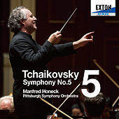 Thumbnail for the Pittsburgh Symphony Orchestra - Tchaikovsky: Symphony No. 5 link, provided by host site
